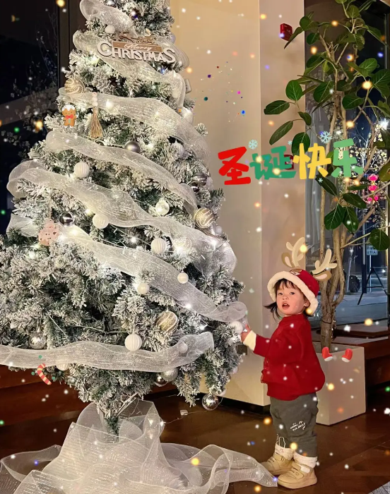 1735270491808101.png 1735270491808101.png