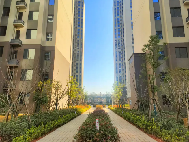 1737078098896423.png 1737078098896423.png