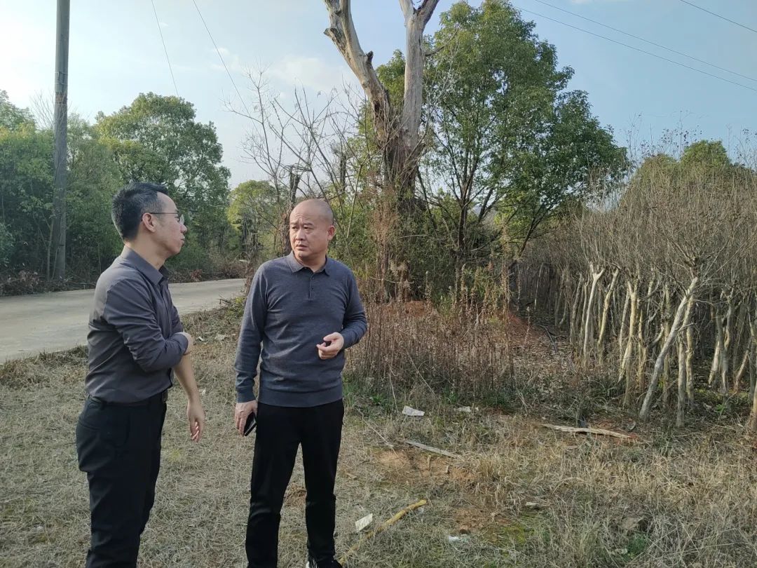 1741055486364626.jpg 1741055486364626.jpg