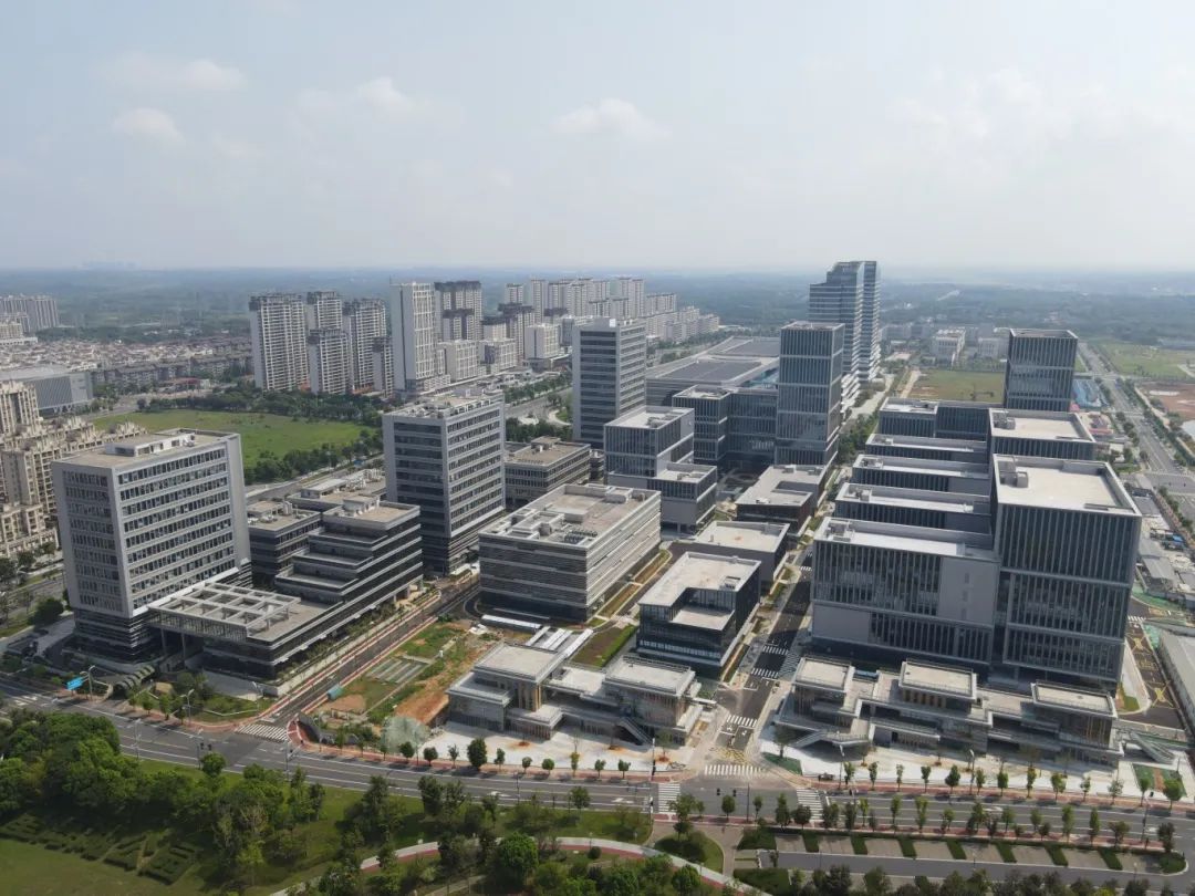 1742175085577290.jpg 1742175085577290.jpg