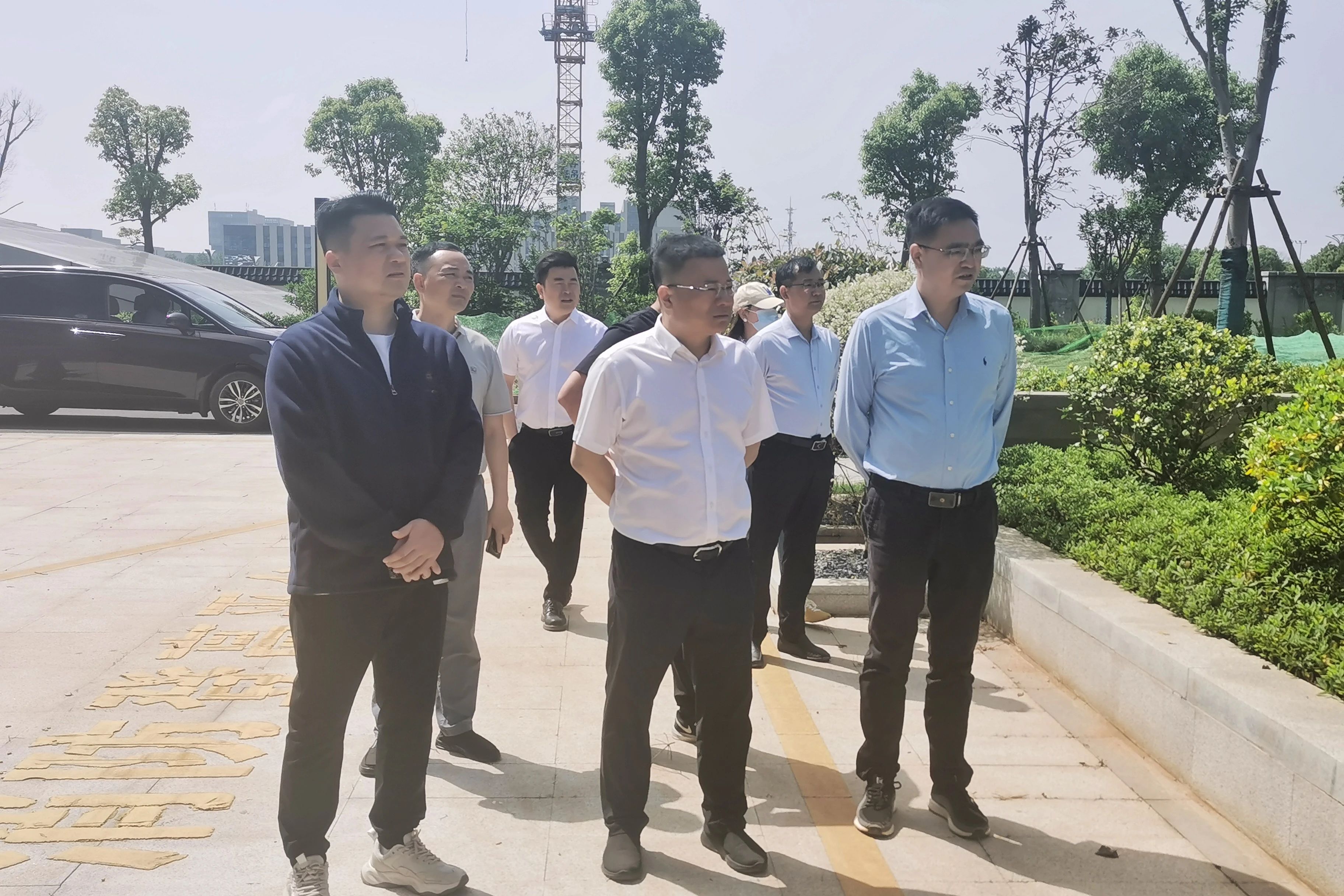 1746498651646677.jpg 1746498651646677.jpg