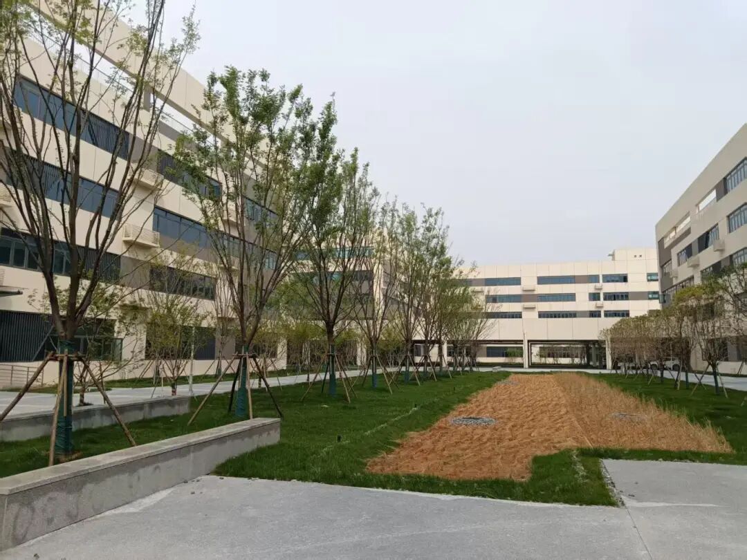 1757044472541568.jpg 1757044472541568.jpg