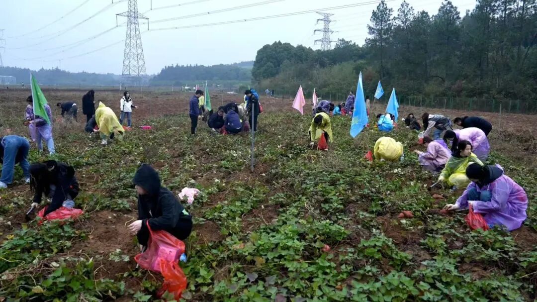 1761537420780815.jpg 1761537420780815.jpg