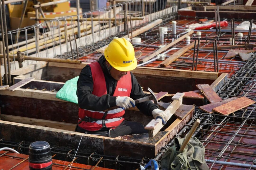 1770345207366631.jpg 1770345207366631.jpg